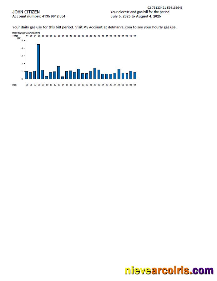 USA Delmarva Power utility bill, 5 pages, 5th page